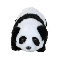 Pilli Sesli Yerde Yürüyen Panda