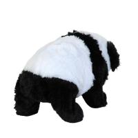 Pilli Sesli Yerde Yürüyen Panda