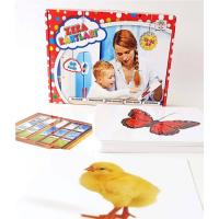 Bebek Zeka Kavram Etkinlik Kartları 12-36 Ay (Dil Gelişimi, İşitsel Dikkat, Görme Duyusu)